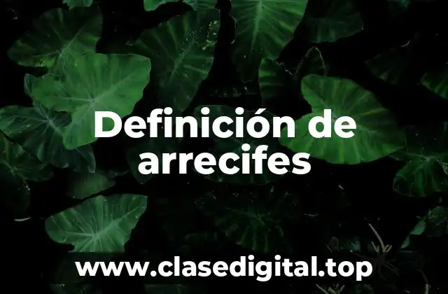 Definición de arrecifes