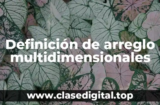 Ejemplos de arreglo multidimensionales