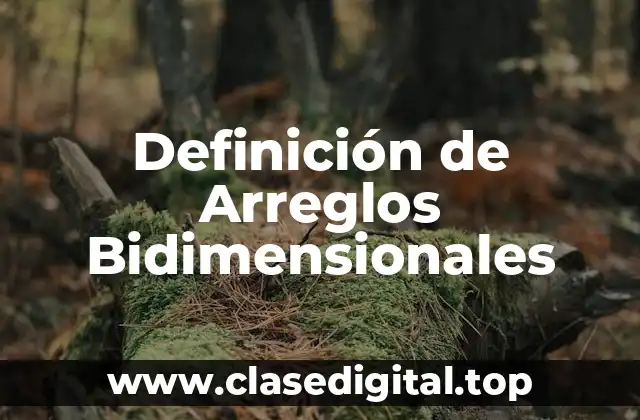 Definición de Arreglos Bidimensionales