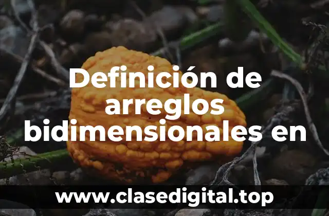 Ejemplos de arreglos bidimensionales