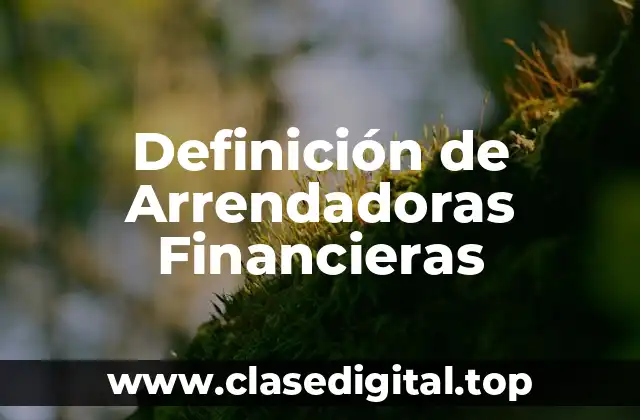 Definición de Arrendadoras Financieras
