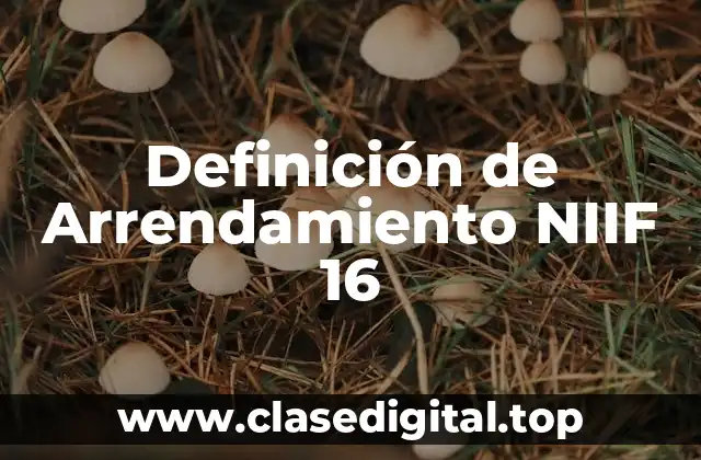 Definición de Arrendamiento NIIF 16