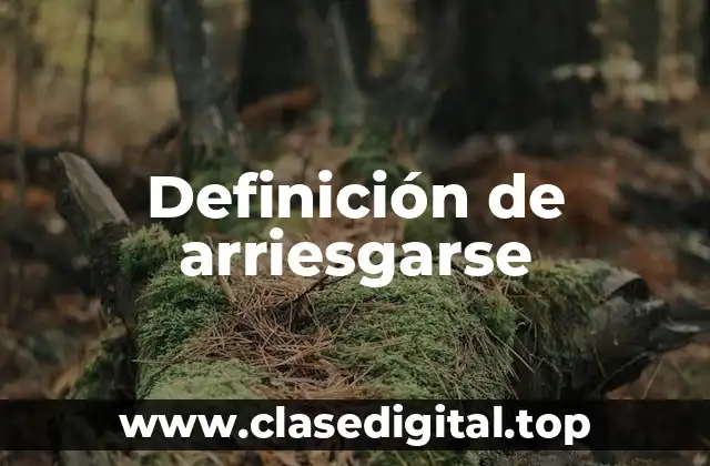 Definición de arriesgarse