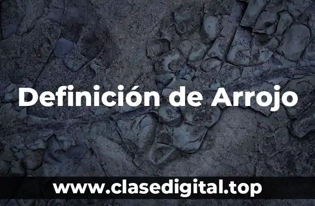 Definición Técnica de Arrojo