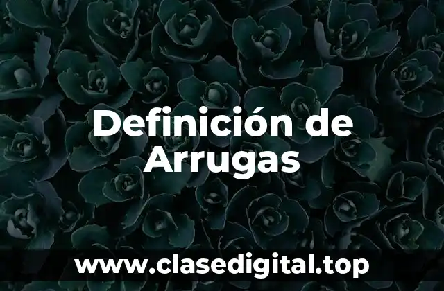 Definición de Arrugas