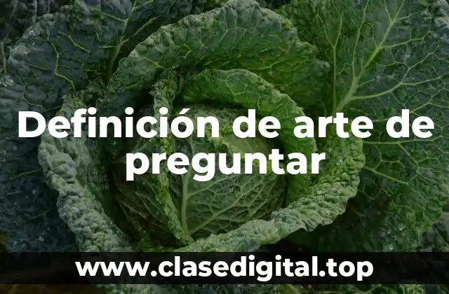 Definición de arte de preguntar