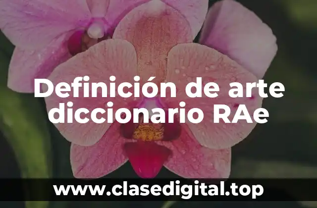 Definición de arte diccionario RAe