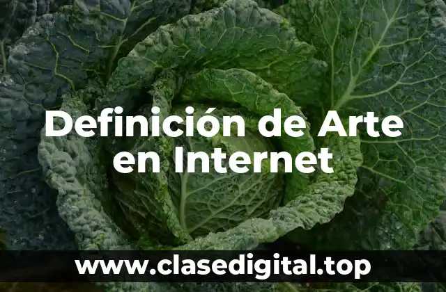Definición de Arte en Internet