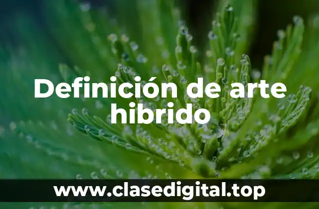 Definición de arte hibrido