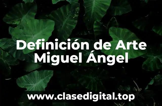 Definición de Arte Miguel Ángel