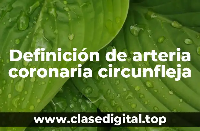 Definición de arteria coronaria circunfleja