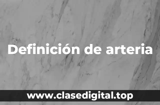 Definición de arteria
