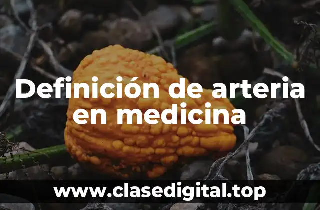 Definición de arteria en medicina