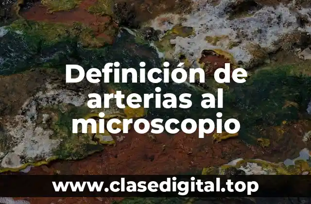 Ejemplos de arterias al microscopio