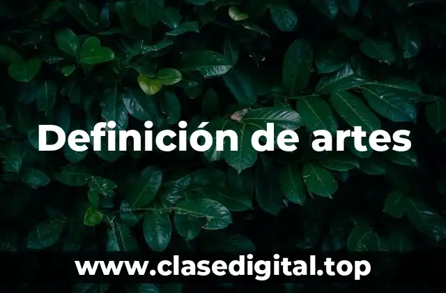 Definición de artes