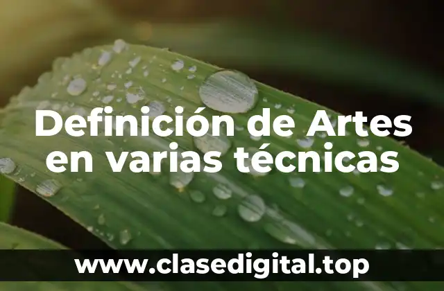 Definición de Artes en varias técnicas