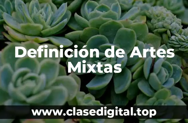 Definición de Artes Mixtas