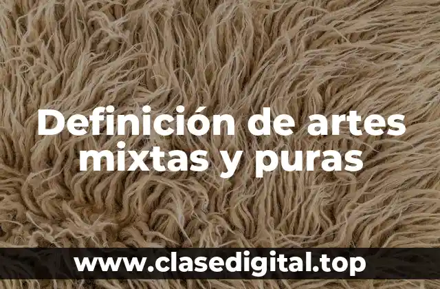 Ejemplos de artes mixtas y puras