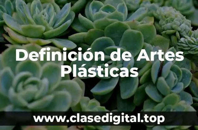 Definición de Artes Plásticas