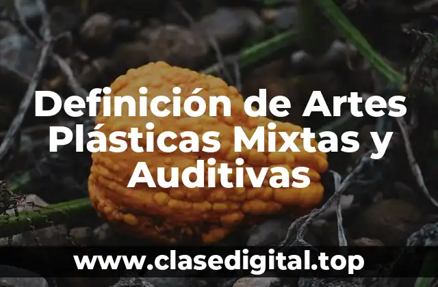 Definición de Artes Plásticas Mixtas y Auditivas