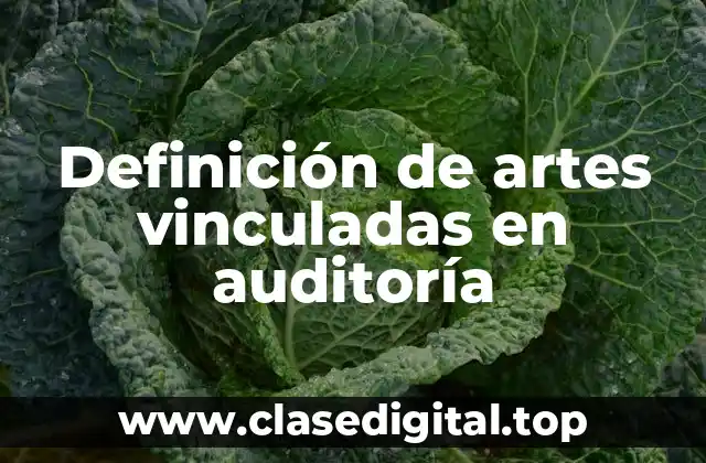 Definición de artes vinculadas en auditoría