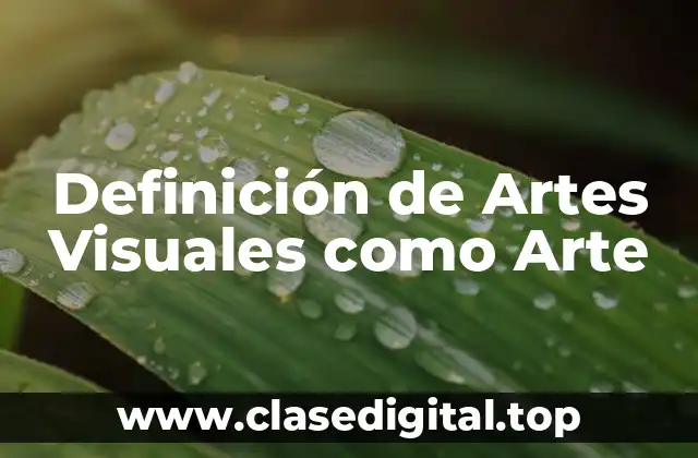 Definición de Artes Visuales como Arte