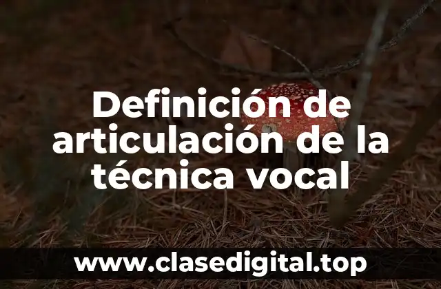 Definición de articulación de la técnica vocal