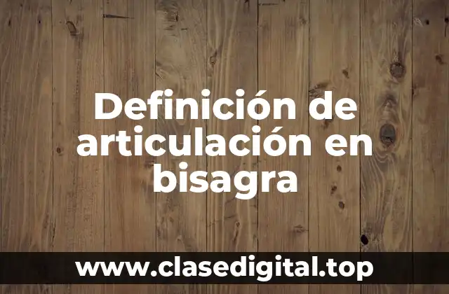 Definición técnica de articulación en bisagra