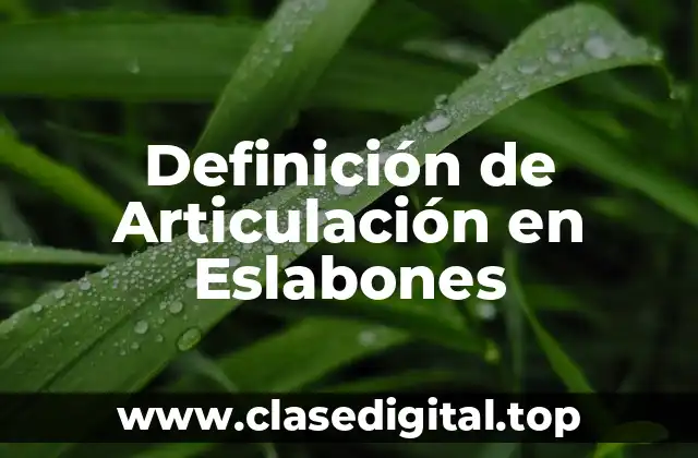 Definición de Articulación en Eslabones