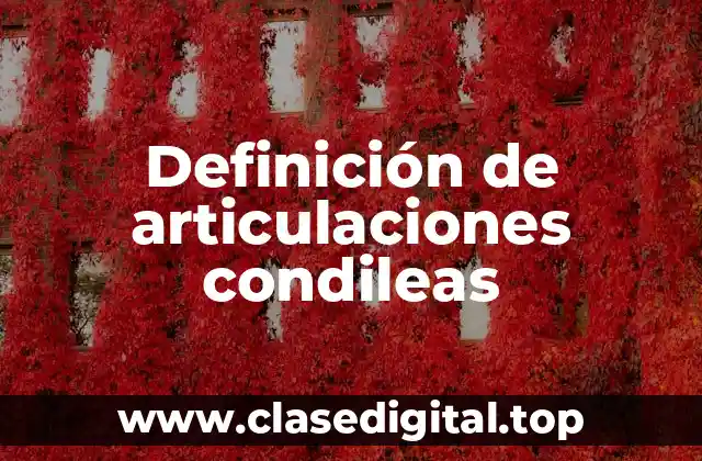 Definición de articulaciones condileas