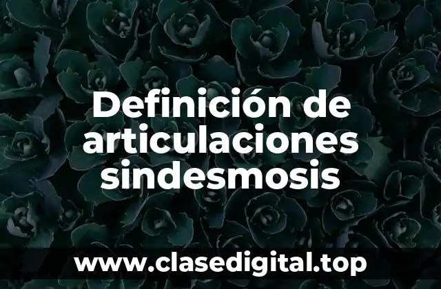 Definición de articulaciones sindesmosis