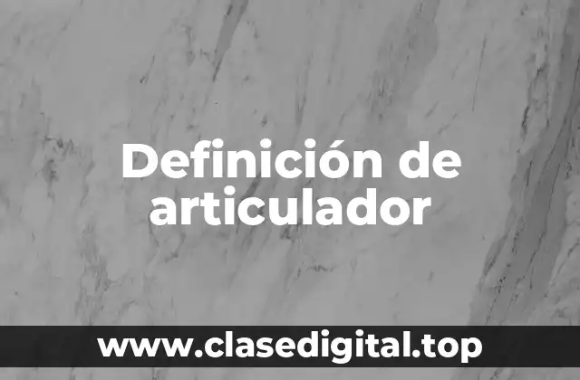Definición técnica de articulador