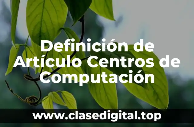 Definición de Artículo Centros de Computación
