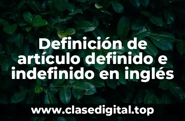 Definición de artículo definido e indefinido en inglés