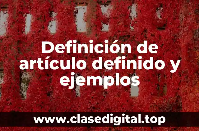 Definición de artículo definido y ejemplos
