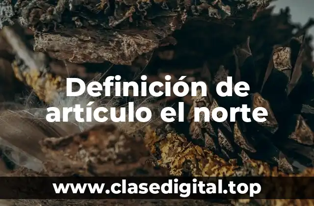 Definición de artículo el norte