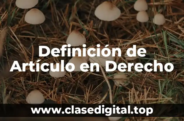 Definición de Artículo en Derecho