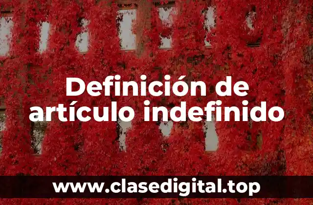 Ejemplos de artículo indefinido