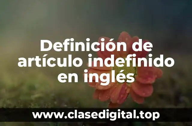 Ejemplos de artículo indefinido en inglés
