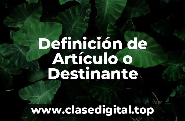 Definición de Artículo o Destinante
