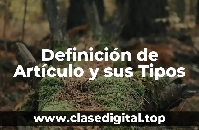 Definición de Artículo y sus Tipos