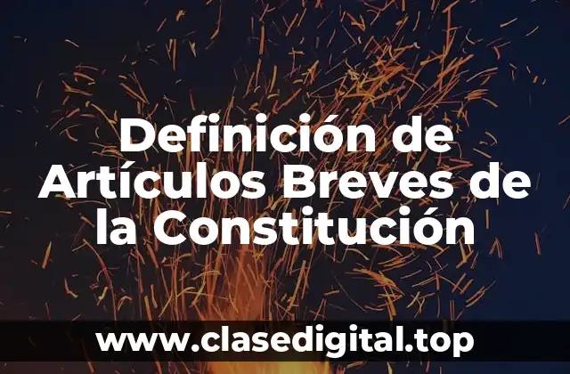 Definición de Artículos Breves de la Constitución