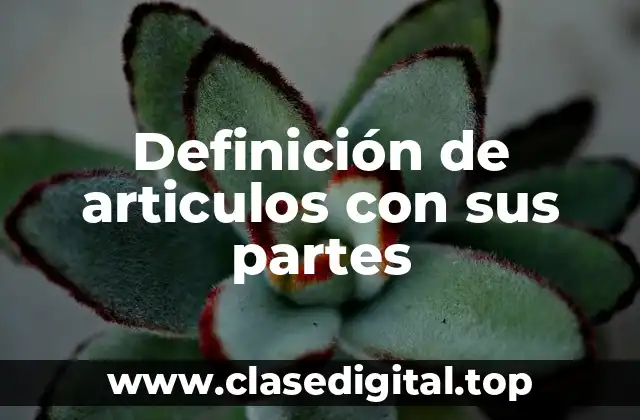 Definición de articulos con sus partes