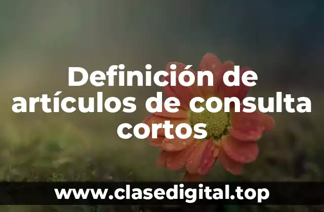 Definición de artículos de consulta cortos