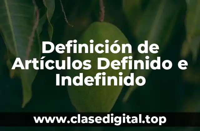 Definición de Artículos Definido e Indefinido