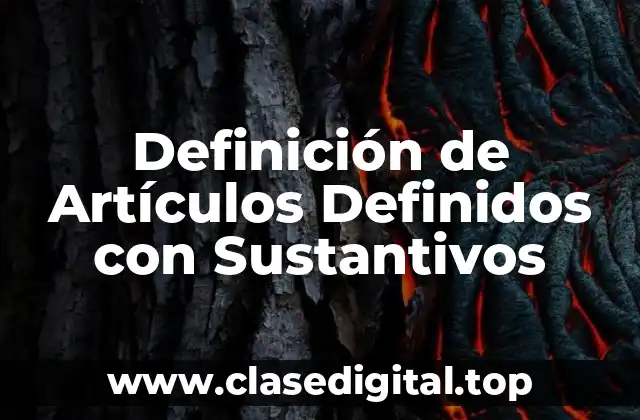 Definición de Artículos Definidos con Sustantivos