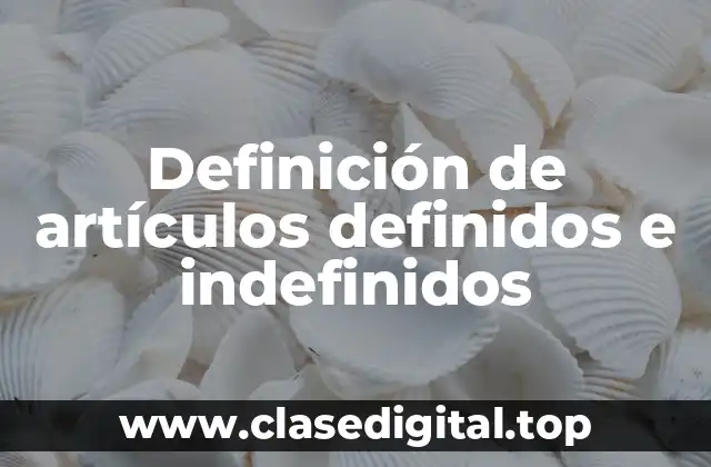 Definición de artículos definidos e indefinidos