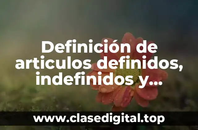 Definición de articulos definidos, indefinidos y neutros