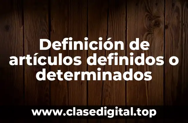 Definición de artículos definidos o determinados