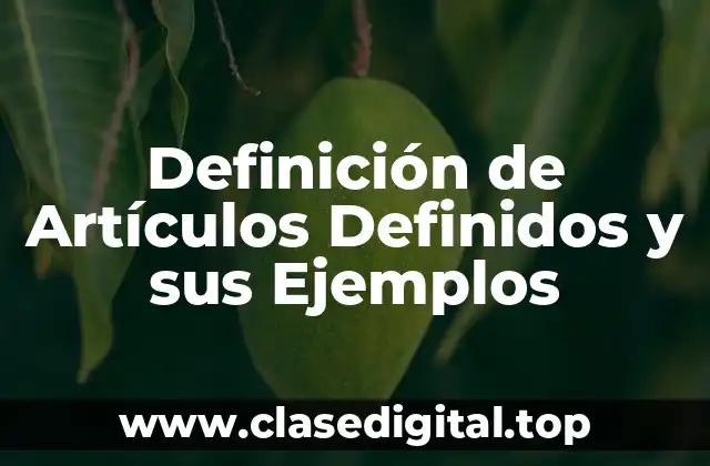 Definición de Artículos Definidos y sus Ejemplos
